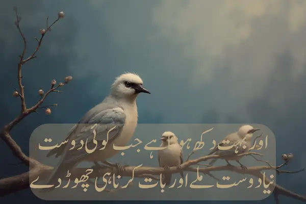 top 50+ Dosti Love Shayari in Hindi 2025 Dosti sad Shayari in Hindi: