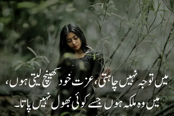 Best 2 Lines Attitude Shayari For Boys and Girls in Hindi Killer Attitude Shayari for Girls