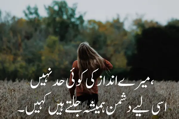 Best 2 Lines Attitude Shayari For Boys and Girls in Hindi Stylish Attitude Shayari in Hindi