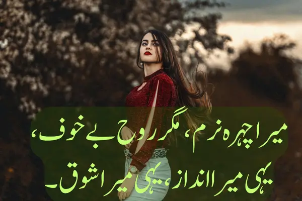 Best 2 Lines Attitude Shayari For Boys and Girls in Hindi मैं घमंडी नहीं, बस यूनिक हूँ,
मेरा एटीट्यूड लग्ज़री है, संभालकर रखो।
