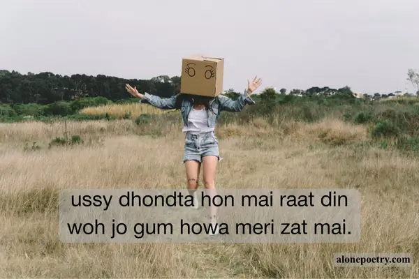 Top 50+ Funny Shayari in Hindi Best Funny Shayari in Hindi
