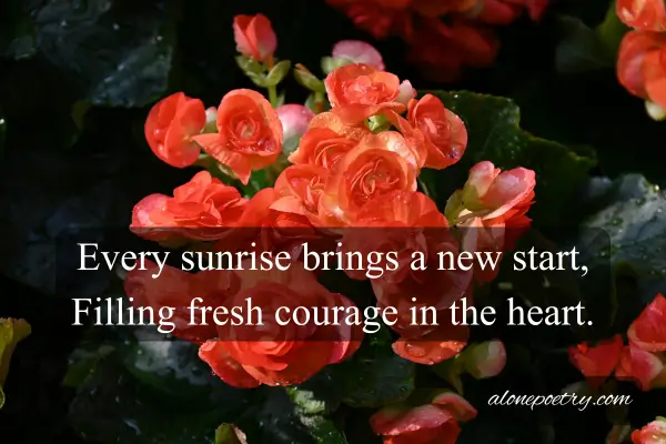 Best 60+ Good Morning Shayari in English in Hindi 2 line Good Morning Shayari in English