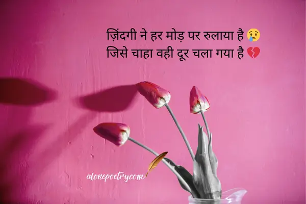 Life Shayari in English; Best Shayari on Life 2026 Sad Shayari in English for Life